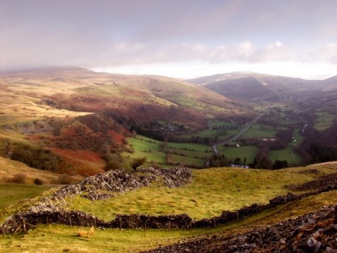 Tawe valley