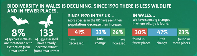 Biodiversity in Wales is declining. Since 1970 there is less wildlife and in fewer places. 8% of species in Wales are threatened with extinction from Great Britain. 133 of 8431 assessed have already become extinct from Great Britain. Since 1970 in the UK, more species in the UK have seen their populations decrease rather than increase. In Wales, we have sen big changes in where wildlife is found.