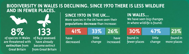 Biodiversity in Wales is declining. Since 1970 there is less wildlife and in fewer places. 8% of species in Wales are threatened with extinction from Great Britain. 133 of 8431 assessed have already become extinct from Great Britain. Since 1970 in the UK, more species in the UK have seen their populations decrease rather than increase. In Wales, we have sen big changes in where wildlife is found.