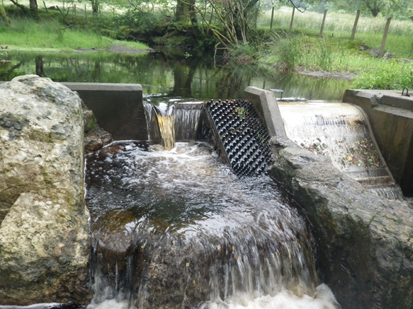 Photograph showing eel pass located on the residual flow section of a hydropower weir
